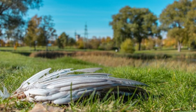 �� ��������� ���������� �������� �������