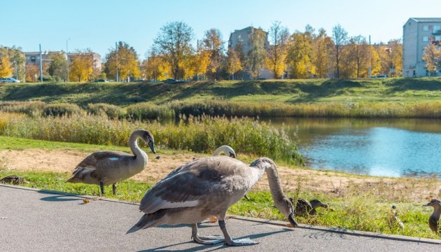 �� ��������� ���������� �������� �������