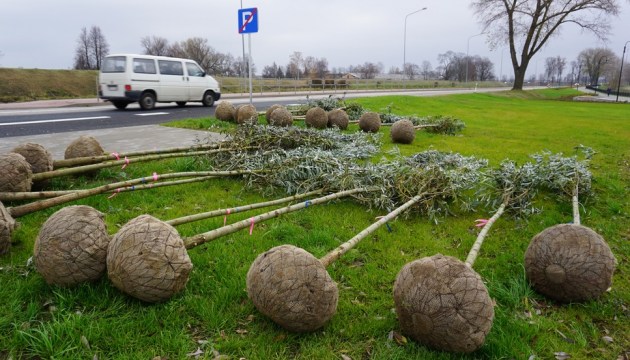 �� ��������� �������������� �������� ������ ���������� �������