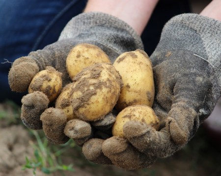 �������� ��� ���� ���� �������� ���������?