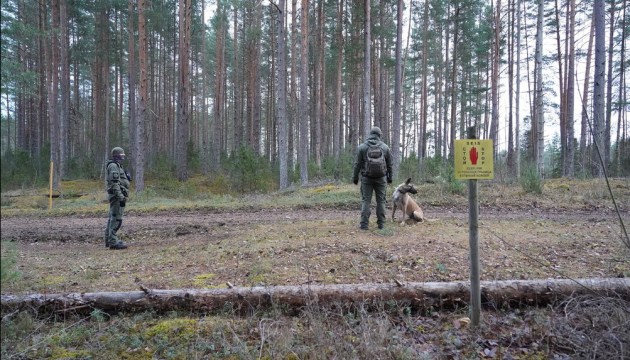 Эстония срочно укрепляет свои рубежи