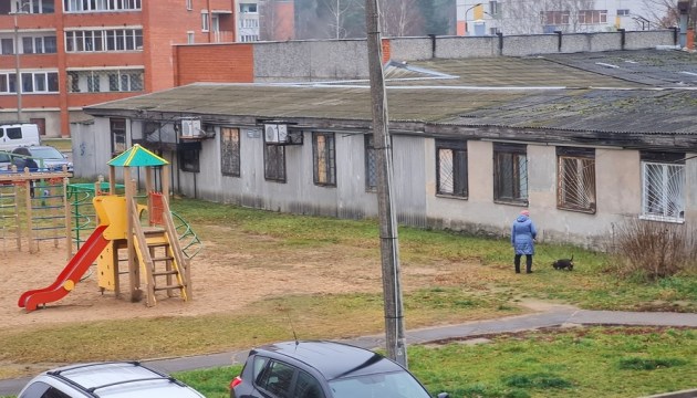 Вид из окна на детскую площадку: детей не видно, собак – вереница