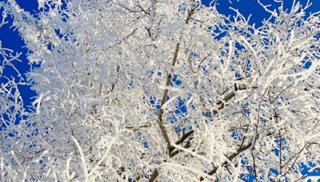 ��������� ������� ����� ���������