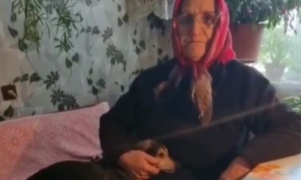 Чудо под Рождество: пенсионерка нашла собаку, пропавшую 4 года назад