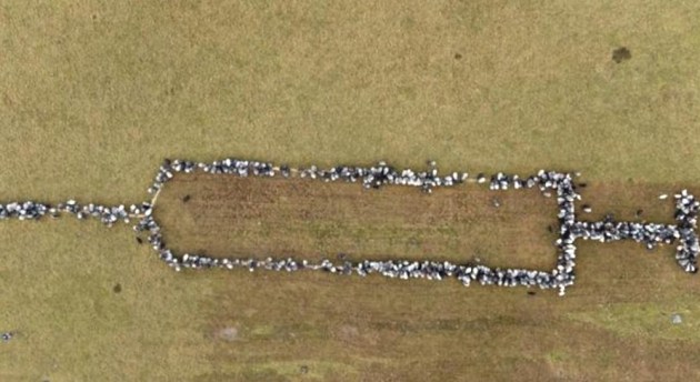 � �������� ����������� ���������� ����� �� ���� � ���