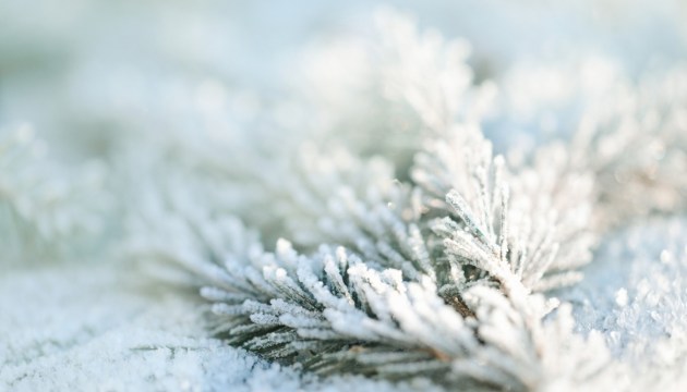 ��������� � ����� ��������� ������� ������������ � ������������� �������� � �������