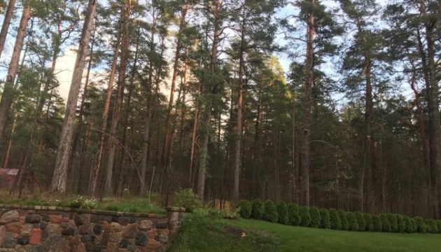 ��������� ����: ������������� �� �������� � ���������� �����������