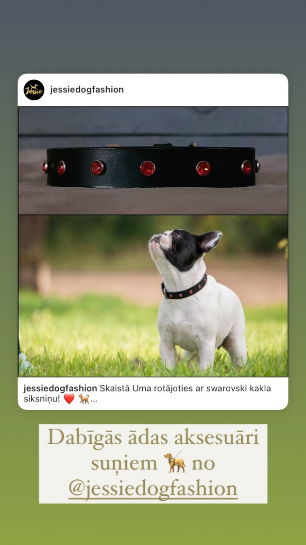 LoLocale: ����� ������������� � ������ ������� ��� �������� ��������