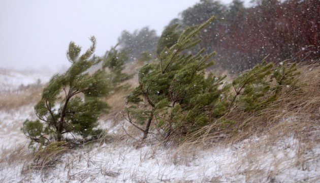 ��������� ������������� � ����������� ������ �������