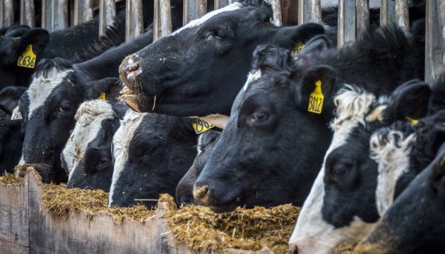 �������� ������� ���������� ���������� ������