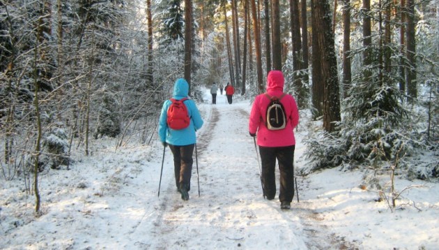 � ����������� ������� ������ ��������� ������������� ������