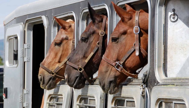 � �������� ��� ��������� ������� ���������� 616 �� ������