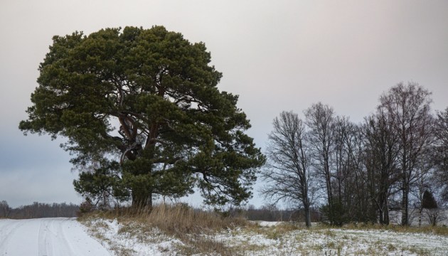 К сведению водителей: в Курземе – заснеженные гравийки, в Латгалии – гололед