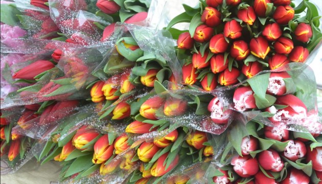 ���������� ����������� ��������� � 8 �����