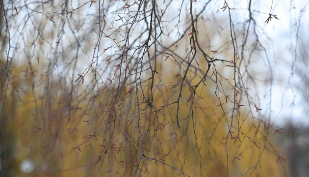 ������� �������� ���� ������� � ���� ���� ������ ������� ����