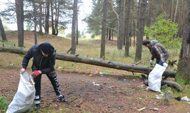Как правильно подготовиться к Большой толоке