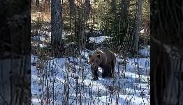 � ������� ������� ���� ���� �������