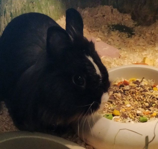 ��� �������� ����������� ������ � ���������� ���������