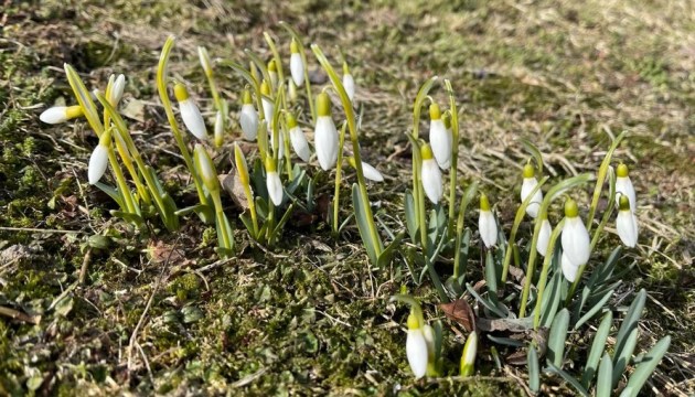 На этой неделе значительно потеплеет