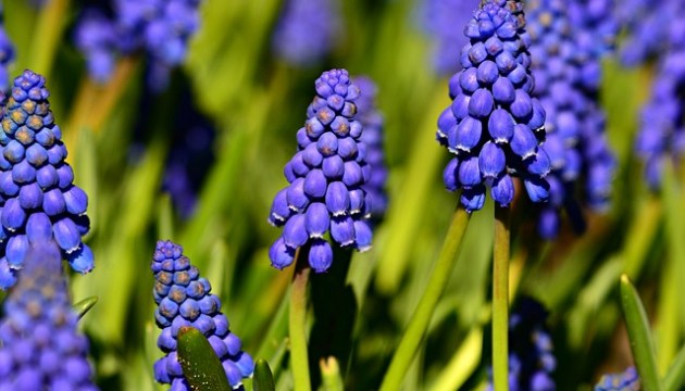 ���������� � ������: ��� ����� ����� ������� � ���� ����