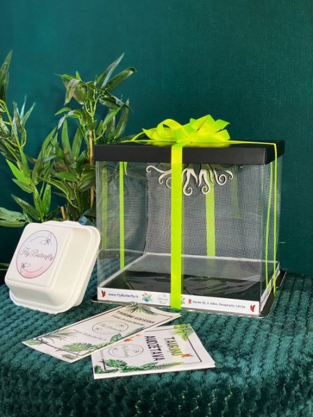 FlyButterFly: � ����������� ��������� ��������� ������� �������