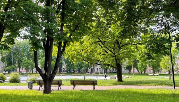 Почему не работает фонтан в парке Дубровина?