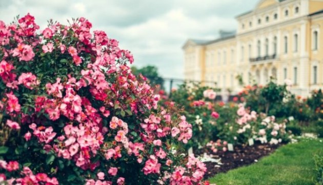 � ������ ���� ��������� �������� ���� ������������ ������