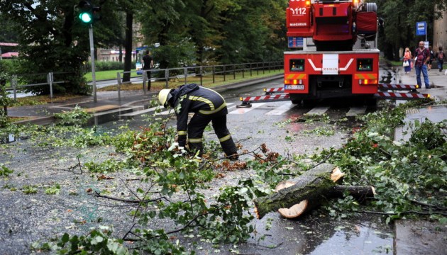 �� ����� ����� ������� ������� ������ �� ������ ��������