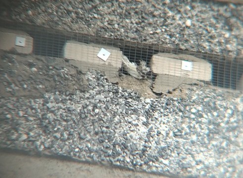 ��������� �� ����� �������: ������ ����� ����� ��������� �����?