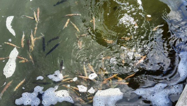 � ������ ���� ��������������� ���� ����� ��������� 32 ���. ������� ����