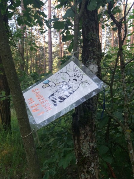 Лес не воруют. Его чистят…