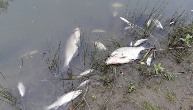 ��-�� ���������� ���� � ����� ������� ��� ����