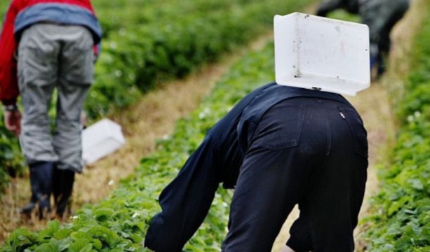 ��-�� ����� � ������� ������ ��������� �� ������� �������