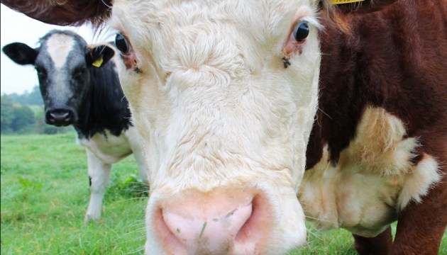 � ����� ������� ����� ���������� ��������� ����