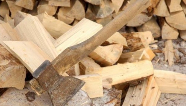 Врачи: многие люди получают травмы при заготовке дров
