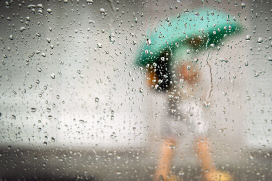 � ���� �� ����������� � ����� ��������� ������� �����