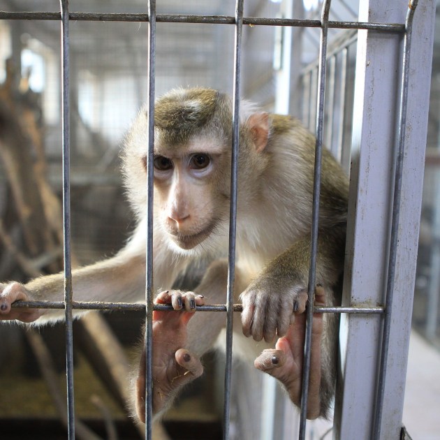 � ����� ����������� ������ ������ ����������� ����� �������