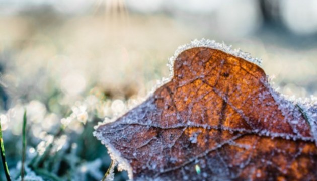 ������ ��������� ������������ ��� � ������ ��������