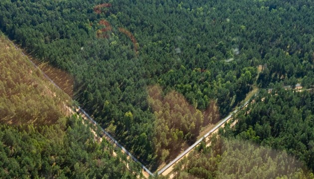 Литва досрочно завершила строительство стены на границе с Беларусью