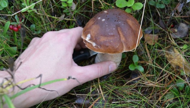 �������: ������ � ���� ���� ����� ����