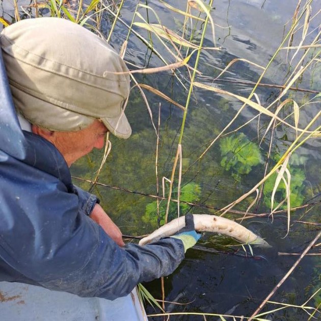 �������� �� ����� �����: ������� ��� 700 �� �������� �����