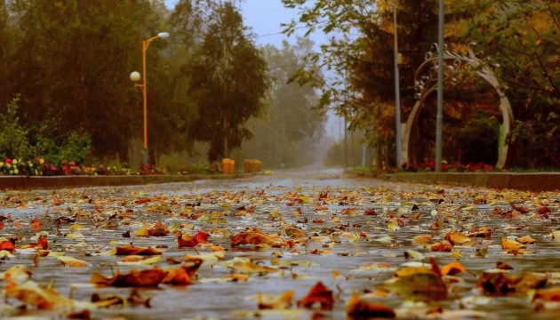 ��������� ����������, ����� ����� ������