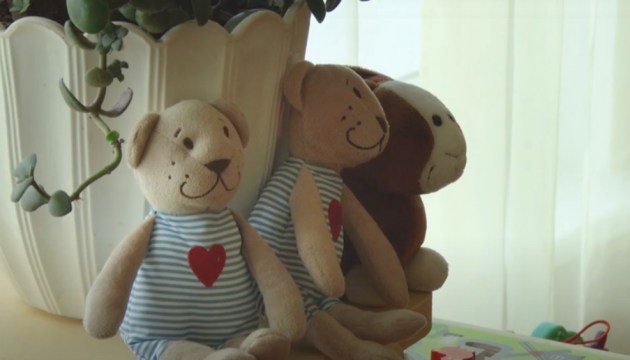 ���������� � �������� ��������� � ������: ���� ����������� Pīlādzis ����������