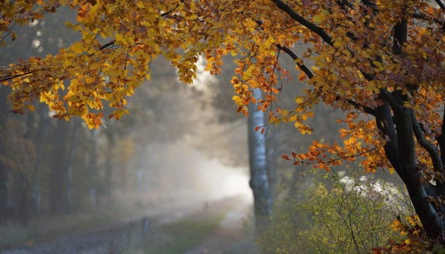 ������� ����������� ��������� ��������������� �����