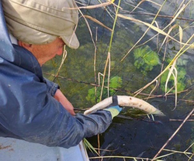 �������� �� ����� ������: ������� ������ ���� ���� �� �������