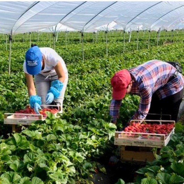 �������������� ��������� �������� �������������� �������