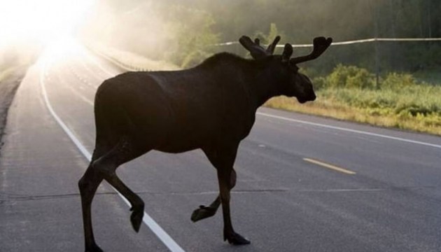 � �������� ���������: ������ ������� ���� ������������ � ������� ���������