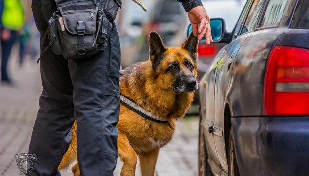 В средних школах Краславского края в ходе рейдов выявлено 8 нарушений