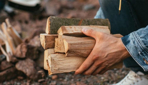 Самый популярный вид компенсации расходов на отопление - 60 евро без чека