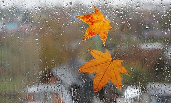 Сегодня - дождливо, но по-прежнему тепло